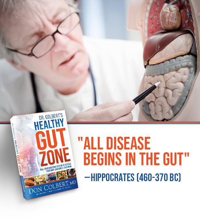 Healthy Gut Zone